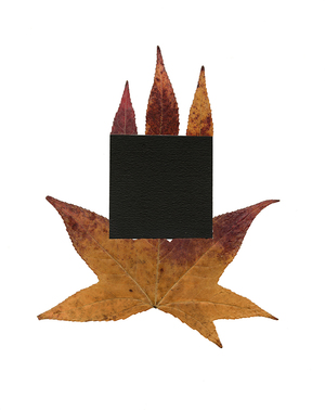 "Radius 50" at Woodstock Artists Association & Museum