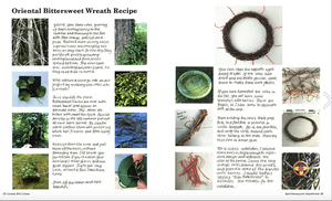 Earthkeepers Handbook