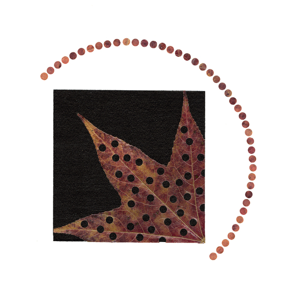 “Meaning Matters” Exhibition at Vassar