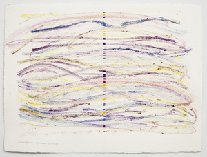 MSKCC acquires Drawings