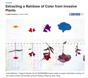 Hyperallergic review